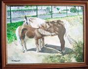 Au pré à St-Didier 1. 