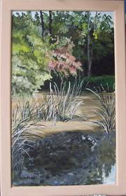 Mare du bois de Verrière à Chatenay-malabry 2. 