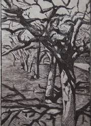 Apple trees in the Britz Garden. Manuela Hinkeldey