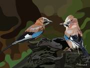 2024-10-28 Oiseaux de jardin - Geai des chênes. 