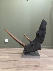 Rhino. Sébastien Chartier