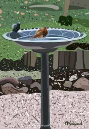 2025-01-14 Le Rouge-Gorge du jardin de Valescure. 