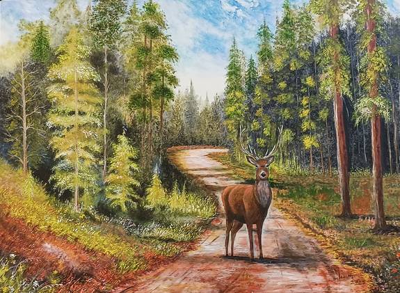 Le cerf dans son écrin. Lacotte Martine Martine Lacotte-Ivaldi