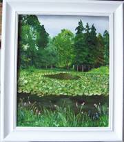 Nenuphar du chateau de Ste-agrève. 