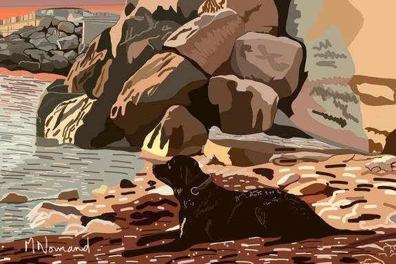 2025-08-14 Marseille-Soleil couchant sur la calanque-Aïli chienne Roth de Maïlys.  Michel Normand