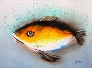 The Fish. Angelsveta