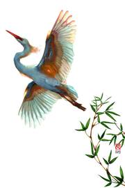 Grue blanche s'envolant d'un marais dans la rosée du matin. Dominique Roy