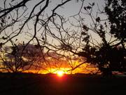 Sonnenfeuer. Carmen Pannek