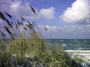 Winter am Meer. Carmen Pannek