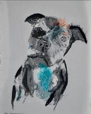 Dog. Melody Farmsworth