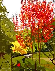 2025-12-02 Le jardin de Michèle, aux couleurs d’automne. 