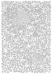 Amorphous Paradise. Sandro Cocco