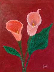 Zwei Rosa Callas auf rotem Grund. Juste